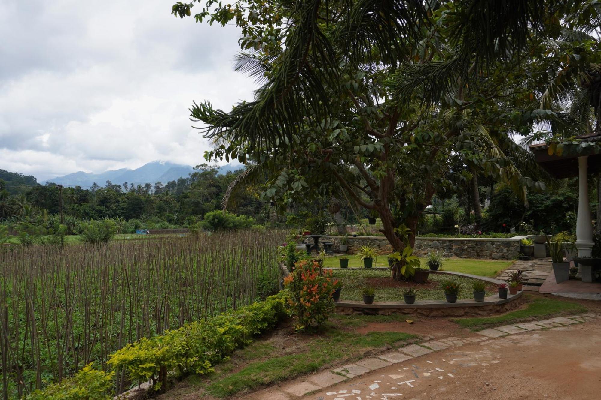 Ella Nature Valley Homestay Exterior photo